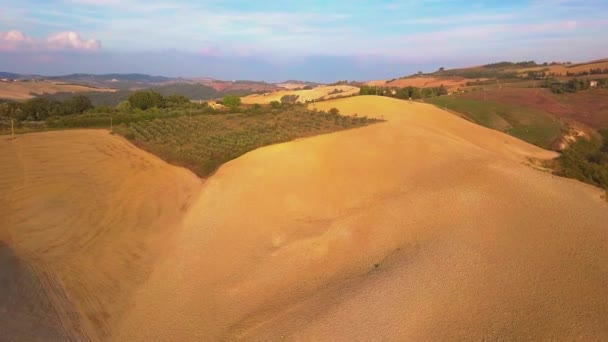 Luchtfoto beeldmateriaal, prachtige wijngaarden op zonsondergang in Toscane, Italië, 4k — Stockvideo