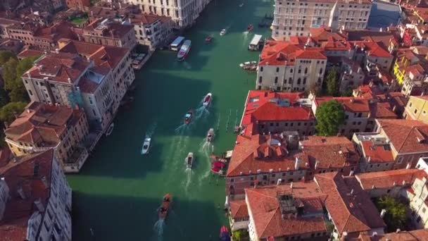 Drone βίντεο - Αεροφωτογραφία του Βενετία Ιταλία — Αρχείο Βίντεο