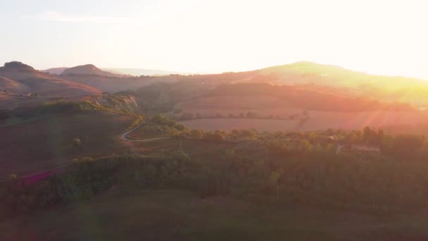 Voo aéreo épico sobre a névoa Forrest Sunset Árvores de outono coloridas Golden Hour Sunset Colors Inspiração de glória épica Caminhadas e conceito de turismo — Vídeo de Stock