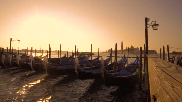 Gondolas at their moorings — Stock Video