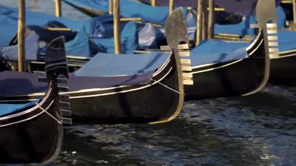 Gondolas at their moorings — Stock Video