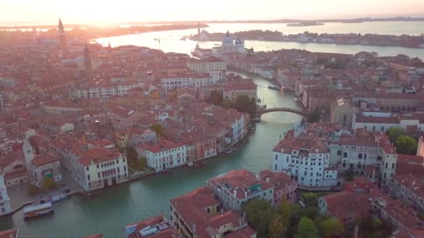 Пташиного Польоту Італії Венеції — стокове відео