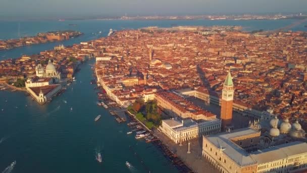 Piazza San Marco, Venedig, Italien — Stockvideo