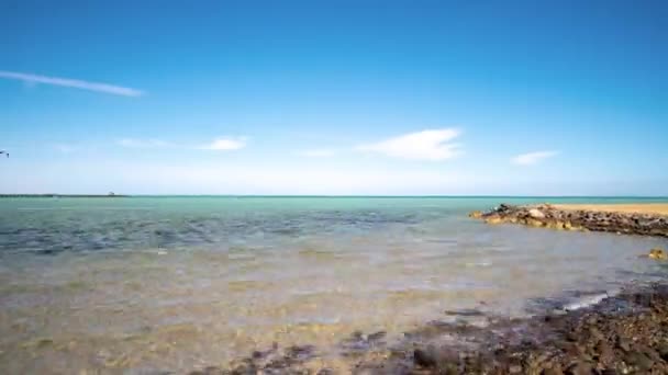 Kitesurf. surfistas na superfície azul do mar. hiperlapso — Vídeo de Stock