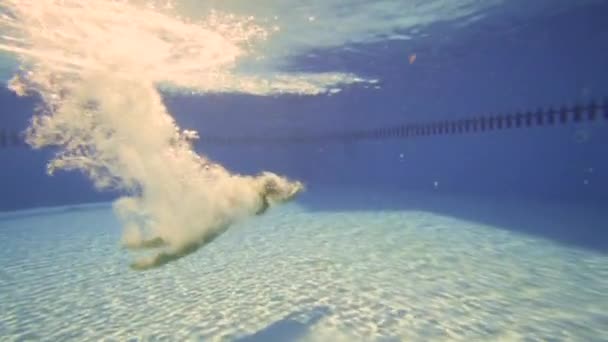 A menina mergulhar na piscina, subaquática câmera lenta — Vídeo de Stock