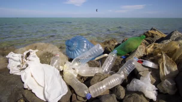 Piszkos műanyag palackok a köves tengerparton. Környezetszennyezés. — Stock videók