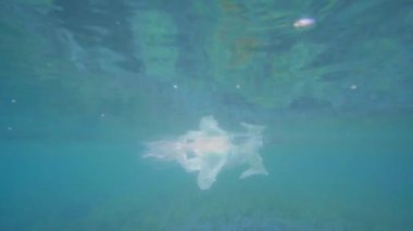 Okyanus çevre sorunu plastik kirliliği. Plastik bardak, torbalar, şişe ve payet denizde terk etti