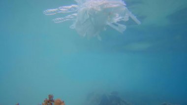 Okyanus çevre sorunu plastik kirliliği. Plastik bardak, torbalar, şişe ve payet denizde terk etti