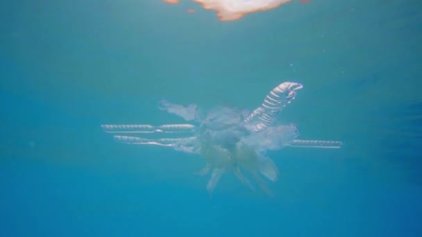 Poluição plástica no oceano problema ambiental. Copos de plástico, sacos de transporte, garrafas e palhas despejadas no mar — Vídeo de Stock