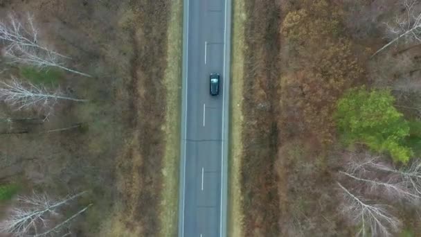 森の田舎道に黒車の空撮。松の木の森に砂利道の上を飛んで撮影映画のドローン — ストック動画