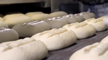 Bir somun ekmek fırında yapmak. Somun ekmek pişirme sektöründe üretim satırındaki. Ekmek Fabrikası üretim. Ekmek fabrikası konveyör. Otomatik üretim ekmek. Ekmek sanayi.