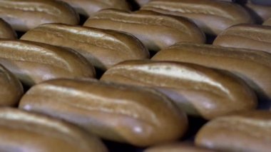 Somun ekmek fırını üretim hattında üzerinde. Pişmiş somun ekmek fırını, adil dışarı-in güzel bir altın rengi ile fırın içinde. Ekmek unlu gıda fabrika üretim taze ürünler ile.