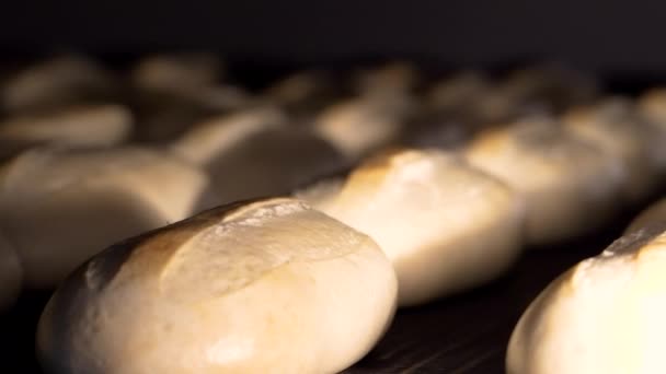 Brood op de productielijn in de bakkerij. Gebakken brood in de bakkerij, net uit de oven met een mooie gouden kleur. Brood bakkerij fabriek voedselproductie met verse producten. — Stockvideo