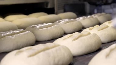 Bir somun ekmek fırında yapmak. Somun ekmek pişirme sektöründe üretim satırındaki. Ekmek Fabrikası üretim. Ekmek fabrikası konveyör. Otomatik üretim ekmek. Ekmek sanayi.