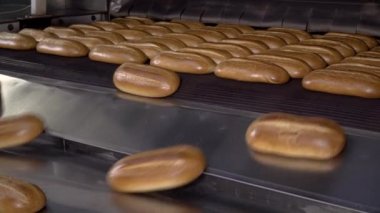 Somun ekmek fırını üretim hattında üzerinde. Pişmiş somun ekmek fırını, adil dışarı-in güzel bir altın rengi ile fırın içinde. Ekmek unlu gıda fabrika üretim taze ürünler ile.