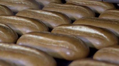 Somun ekmek fırını üretim hattında üzerinde. Pişmiş somun ekmek fırını, adil dışarı-in güzel bir altın rengi ile fırın içinde. Ekmek unlu gıda fabrika üretim taze ürünler ile.