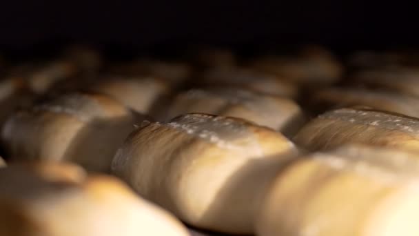 Brood op de productielijn in de bakkerij. Gebakken brood in de bakkerij, net uit de oven met een mooie gouden kleur. Brood bakkerij fabriek voedselproductie met verse producten. — Stockvideo