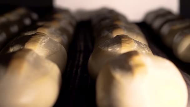 Καρβέλι ψωμιού στη γραμμή παραγωγής στο αρτοποιείο. Ψημένο καρβέλι ψωμί στο αρτοποιείο, ακριβώς έξω από τον φούρνο με ένα ωραίο χρυσό χρώμα. Ψωμί αρτοποιείο τροφίμων εργοστάσιο παραγωγής με φρέσκα προϊόντα. — Αρχείο Βίντεο