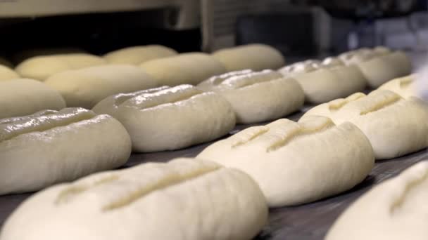 Haciendo una barra de pan en la panadería. Hoja de pan en la línea de producción en la industria de la panadería. Producción de la fábrica de pan. Transportador de fábrica de panadería. Producción automatizada de pan. Industria de panadería . — Vídeo de stock