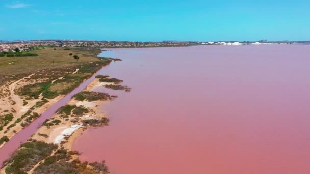 Luchtfoto. Zout zeewater verdampings vijvers met roze kleur. — Stockvideo