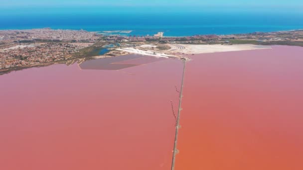 Luchtfoto van zout zeewater verdampings vijvers met roze kleur. — Stockvideo