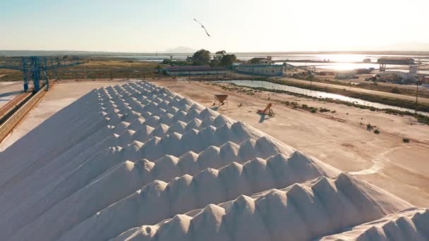 Luchtfoto van industriële extractie van zout in de woestijn, stapel zout. — Stockvideo