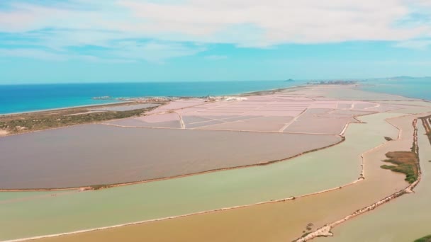 Veelkleurige zoutmeren met kust zoutmoerassen, bovenaanzicht, video-opname met drone. Roze zoutmeren en turquoise zee, antenne video. — Stockvideo