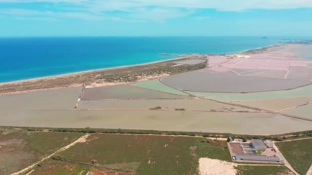 Mångfärgade saltsjöar med kustnära salta våtmarker, Flygfoto, video skytte med Drone. Rosa saltsjöar och turkos hav, flygvideo. — Stockvideo