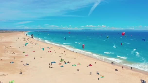 Aerial view of kitesurfing extreme sport with the wind freestyle. Beautiful top view of nice beach. Lots of kites. — Stock Video