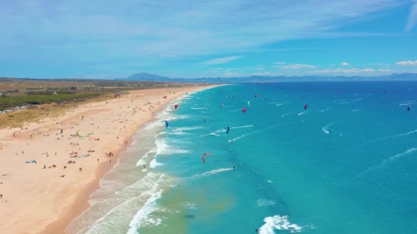 Flygfoto över kitesurfing extrem sport med vind freestyle. Vackra ovanifrån av fin strand. Massor av drakar. — Stockvideo