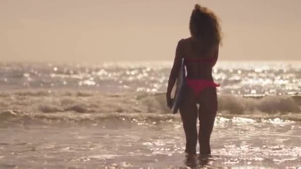 夕暮れ時にビーチでサーフボードに立つサーファーの女の子のシルエット。サーフボードを持って夕日を見て幸せな女の子. — ストック動画