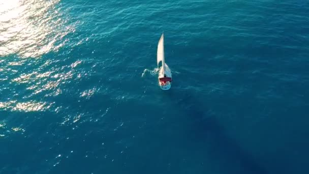 Luchtfoto. Jacht zeilen op geopende zee. Zeilboot. Jacht van bovenaf. Zeilen op Windy Day. Het jacht. Zeilboot. — Stockvideo