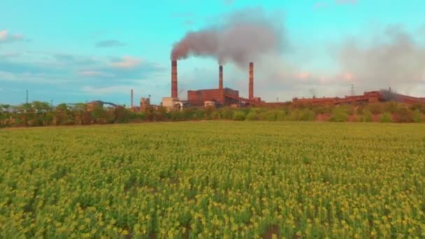 Vue aérienne. Usine métallurgique. Fumée sortant des tuyaux d'usine . — Video