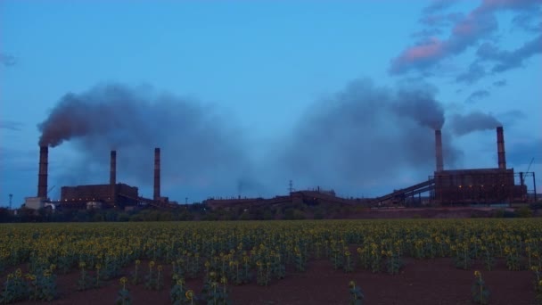 タイムラプス工場の煙スタックは、厚い煙を吹き飛ばします. — ストック動画