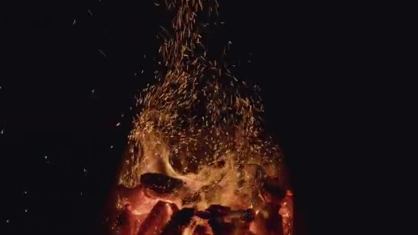 Du charbon. Le charbon brûle dans le barbecue au kebab. Le feu brûle. Feu pour barbecue. Barbecue feu . — Video