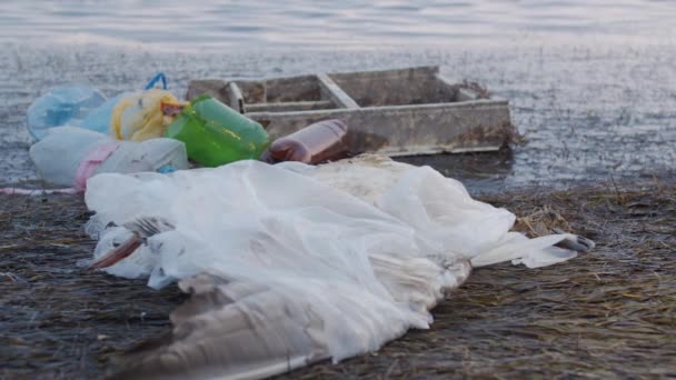 Martwe Mewa splątane w plastikowych toreb wśród plastikowych butelek i śmieci. Katastrofa środowiskowa. Wpływ człowieka na środowisko. — Wideo stockowe