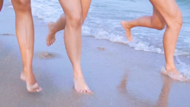 Ноги женщины загорелые рунинг на песчаном пляже на закате. Стройные красивые девушки ходят по морю на золотом песке. Друзья в отпуске . — стоковое видео