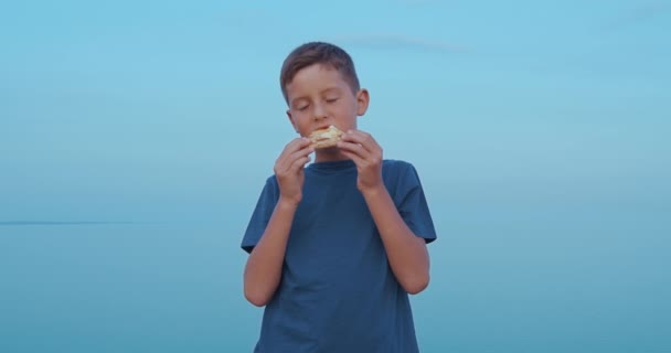 その少年は屋外でピザを食べている。おいしいピザで笑顔の少年. — ストック動画