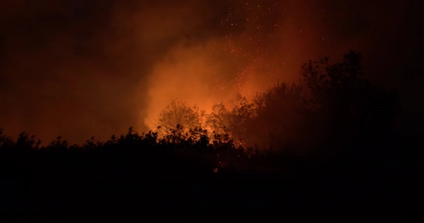 Het verbranden van gras op veld in de nacht. Brandweerlieden vechten een vuur met een slang en water tijdens de brandbestrijding. Toevallige ramp, ecologische catastrofe. — Stockvideo