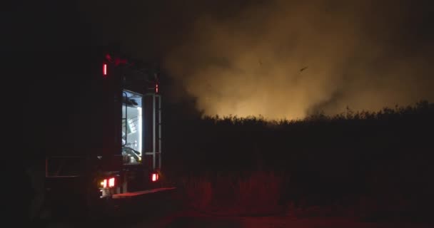 Camion de pompiers avec feux clignotants allumés. Camion de pompiers sur fond d'herbe brûlée sur le champ pendant un incendie de forêt. Sauvetage et prévention des catastrophes naturelles . — Video