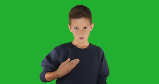 Neslyšící chlapec podepisuje Znám znakovou řeč, komunikaci pro sluchově postižené. Zelená obrazovka — Stock video