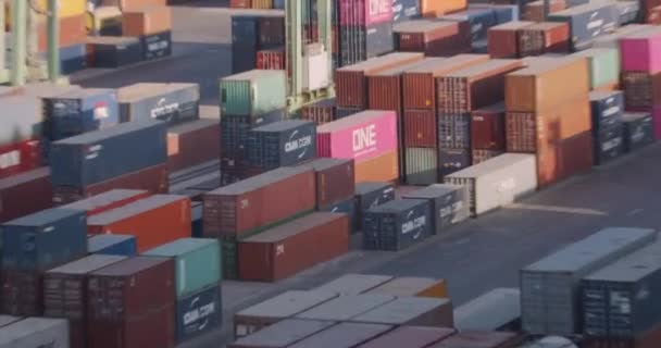 Καζαμπλάνκα, Μαρόκο - 15 Οκτωβρίου 2019: Τερματικός σταθμός εμπορευματοκιβωτίων, υλικοτεχνική υποστήριξη επιχειρήσεων. Γερανός, λιμένας εμπορίου, ναυτιλία. — Αρχείο Βίντεο