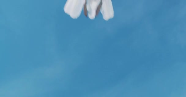 Gaviotas blancas volando por encima de una cabeza — Vídeo de stock