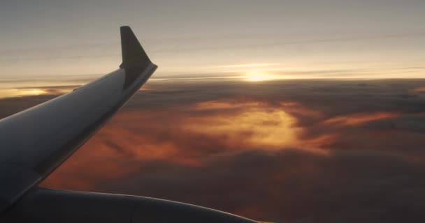Gün batımı gökyüzü ile bulutların üzerinde uçan bir uçağın kanadı. Uçağın penceresinden görüntüle. — Stok video