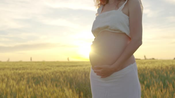 Mulher grávida tocando suavemente sua barriga enquanto estava em pé pelo campo no pôr do sol . — Vídeo de Stock