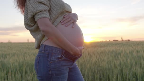 Mulher grávida bonita acariciando sua barriga. Mulher a tocar na barriga. Feliz mãe expectante na natureza ao pôr-do-sol. Fechar. . — Vídeo de Stock