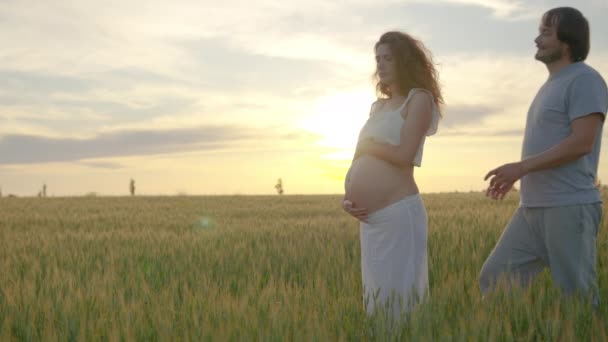 Mamma och pappa har hand om gravid mage. Gravida par smeker gravid mage. Förväntad mödravård. Moderskapsbegreppet. Graviditet. — Stockvideo