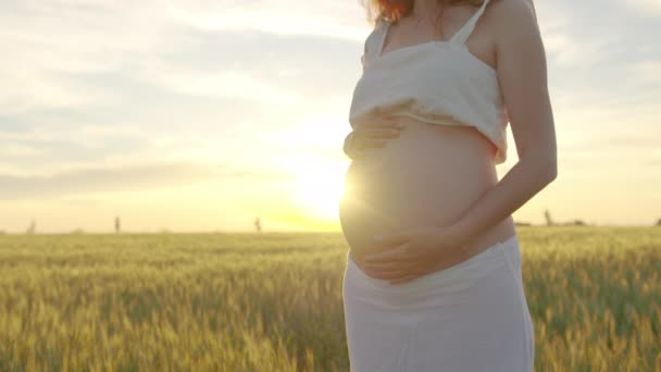 Mulher grávida tocando suavemente sua barriga enquanto estava em pé pelo campo no pôr do sol . — Vídeo de Stock