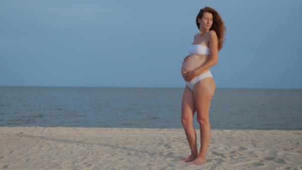 Hermosa mujer embarazada acariciando su vientre. Una mujer tocándose la barriga. Feliz madre embarazada en el mar . — Vídeos de Stock