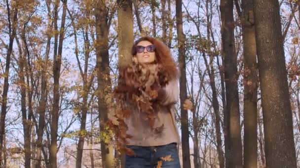 A menina lança folhagem dourada caída. Modelo feminino desfrutando de vida ao ar livre natureza fundo . — Vídeo de Stock